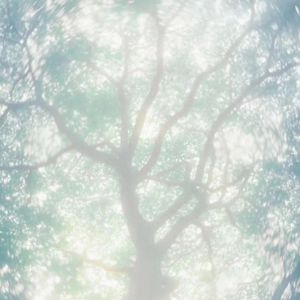 一本色道国产在线观看二区
